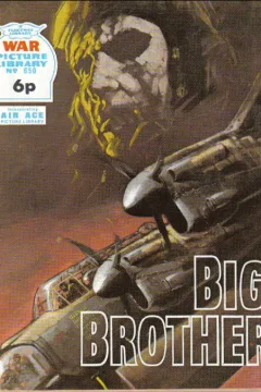 Big Brother