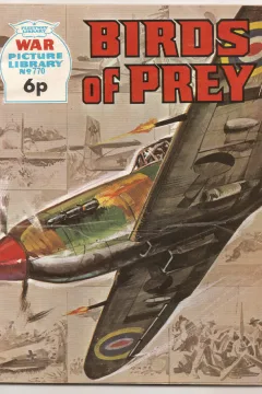 Birds Of Prey