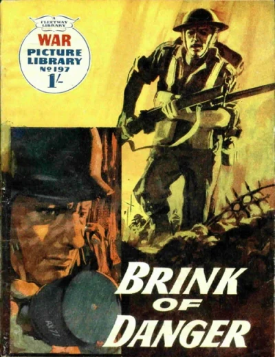Cover of Brink Of Danger