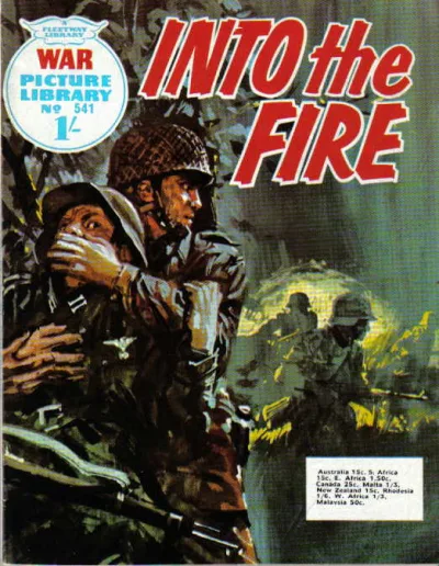 Cover of Into The Fire