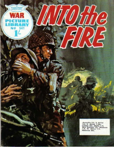 Cover of Into The Fire