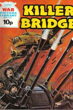 Killer Bridge