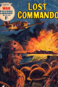 Lost Commando