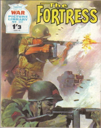 Cover of The Fortress