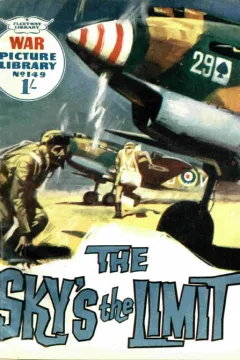 The Sky`s The Limit