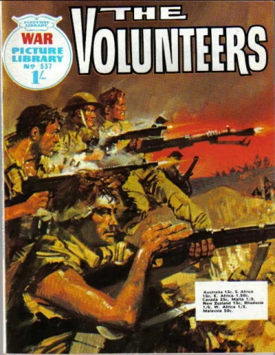 Cover of The Volunteers