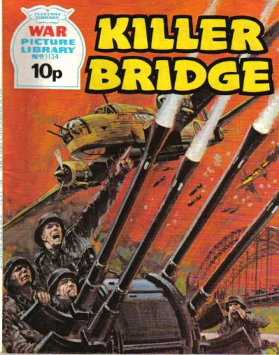 Cover of Killer Bridge