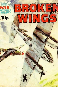 Issue #1161