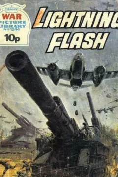Issue #1244