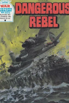Issue #2073