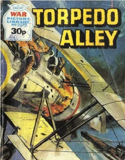 Cover of Issue #2078
