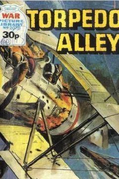 Issue #2078