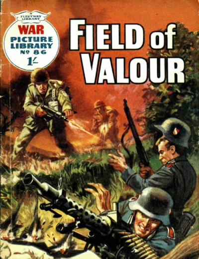 Cover of Field Of Valour