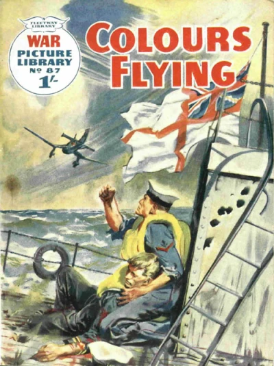 Cover of Colours Flying