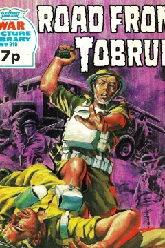 Issue #919