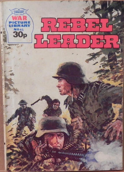 Cover of Issue #45