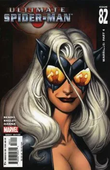 Cover of Warriors: Part 4