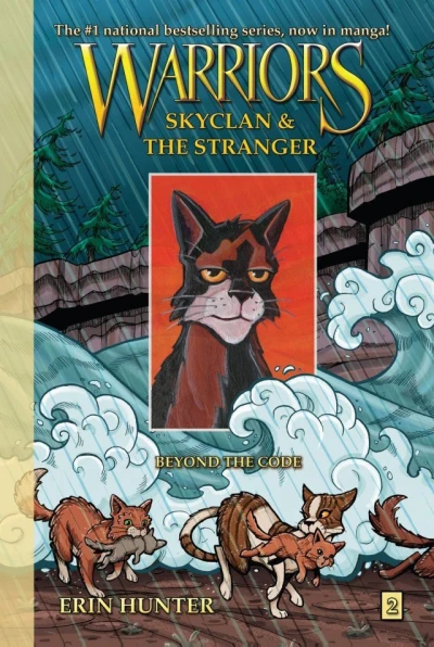 Cover of Beyond the Code