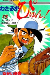 Vol. 13
