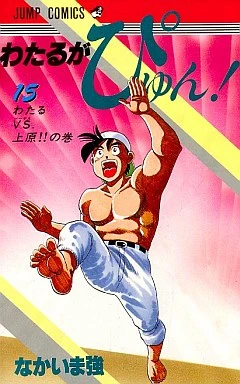 Cover of Vol. 15