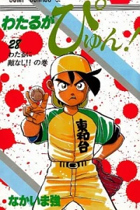 Vol. 28