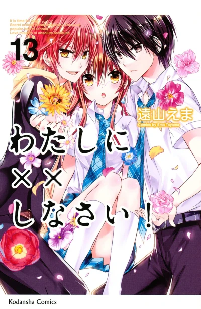 Cover of Volume 13