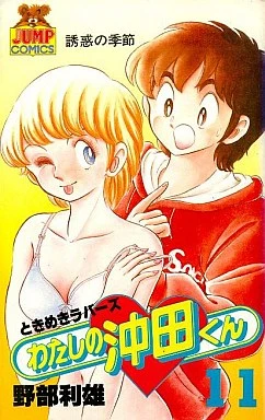 Cover of Vol. 11