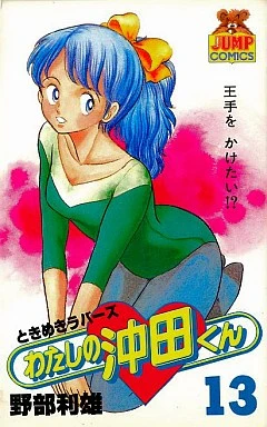 Cover of Vol. 13