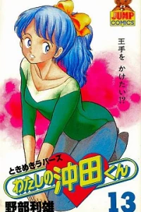 Vol. 13