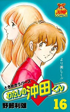 Cover of Vol. 16