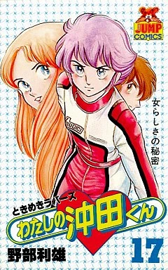 Cover of Vol. 17