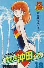 Cover of Vol. 18