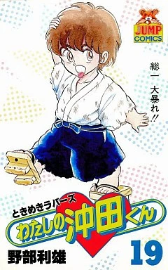 Cover of Vol. 19