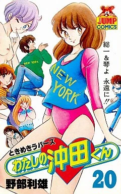 Cover of Vol. 20