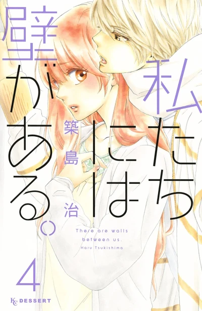 Cover of Vol. 4