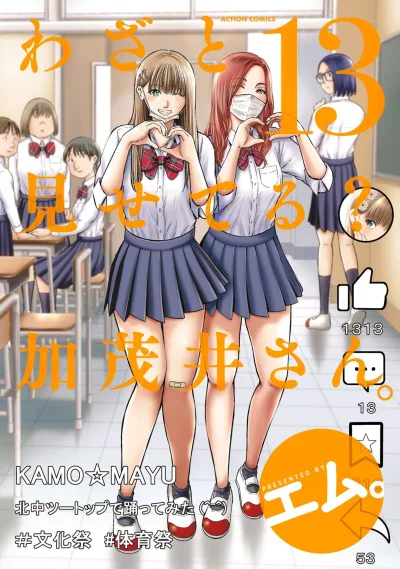 Cover of Volume 13