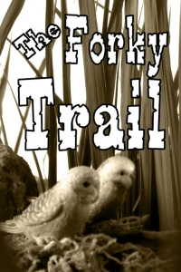 The Forky Trail