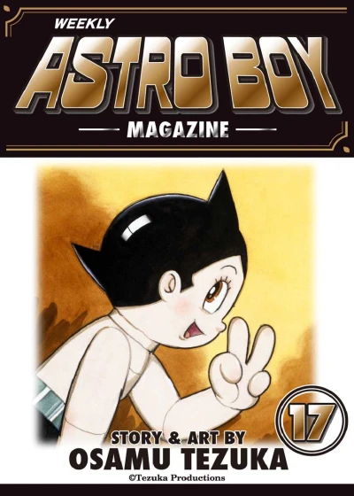 Cover of Vol. 17