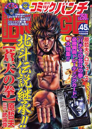 Cover of No. 45, 2004
