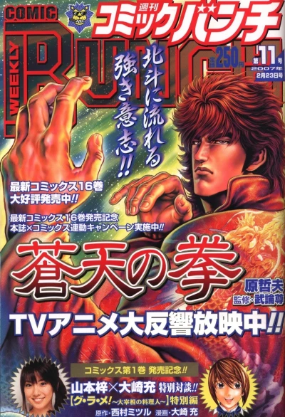 Cover of No. 11, 2007