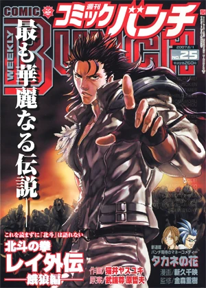 Cover of No. 25, 2007