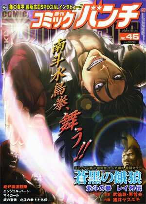 Cover of No. 46, 2007