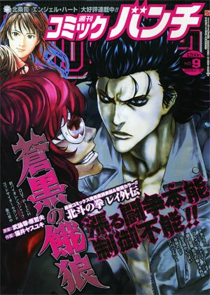 Cover of No. 9, 2008