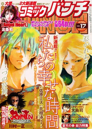 Cover of No. 17, 2008