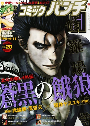 Cover of No. 20, 2008