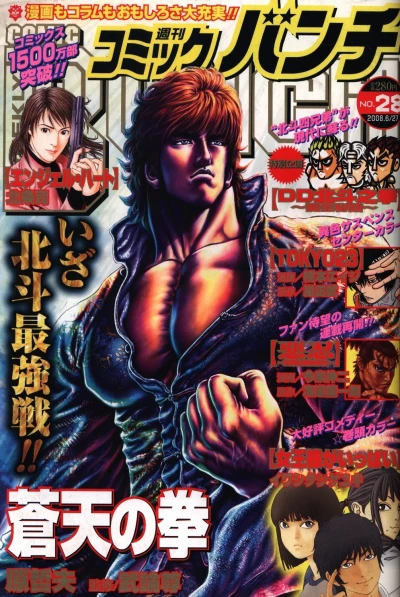 Cover of No. 28, 2008