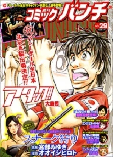 Cover of No. 29, 2008