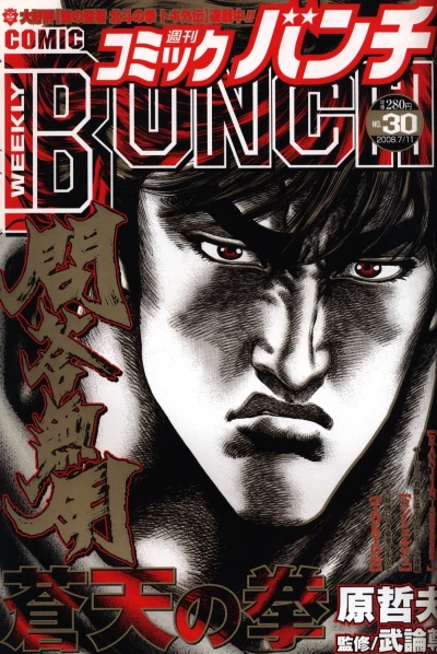 Cover of No. 30, 2008