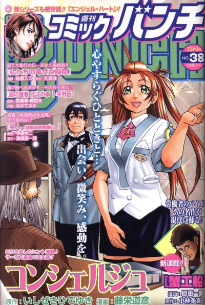 Cover of No. 38, 2008