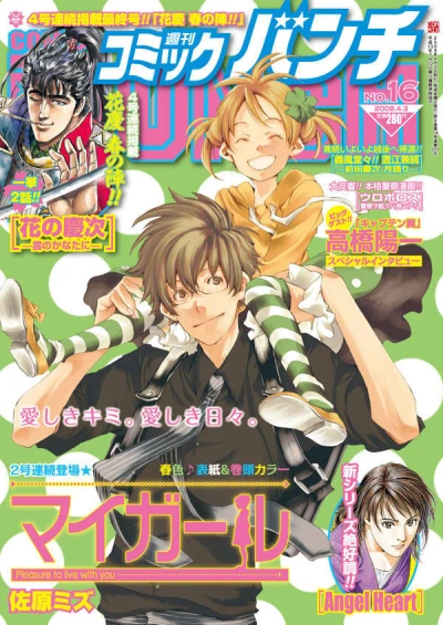 Cover of No. 16, 2009